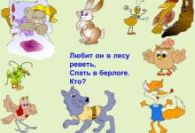 Photo of Тематические угадайки и викторины