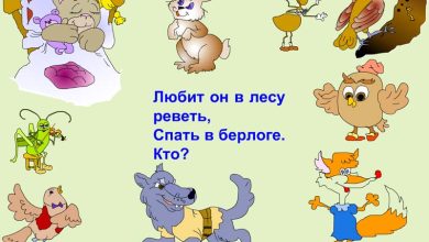 Photo of Тематические угадайки и викторины